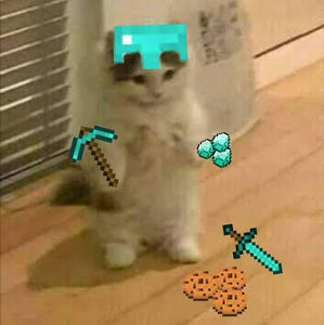 Meet your Posher, Xio